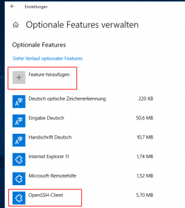 Windows 10 SSH-Client installieren